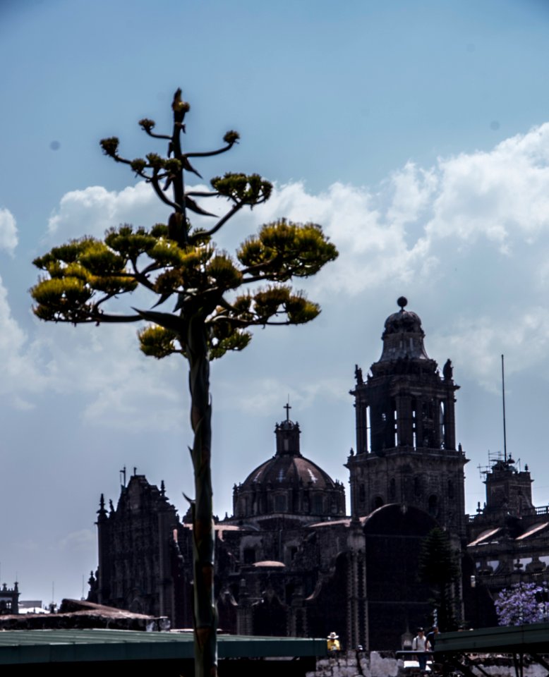 Mexico City