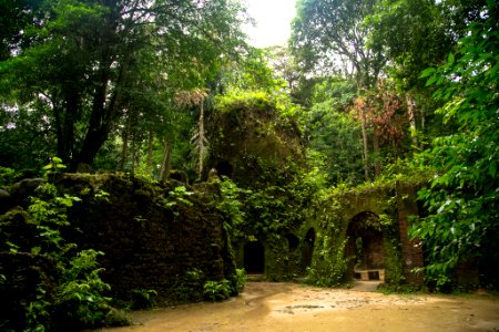 BrunaBrandao Bosque Rodrigues Alves Belem PA
