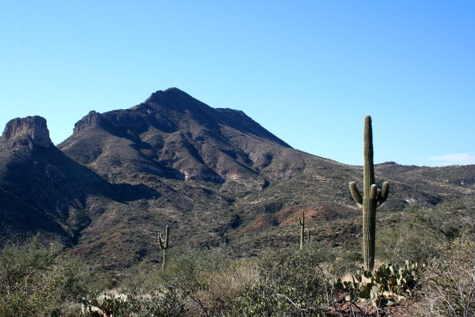 Elephant Mountain