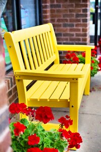 Wooden seat flowers photo