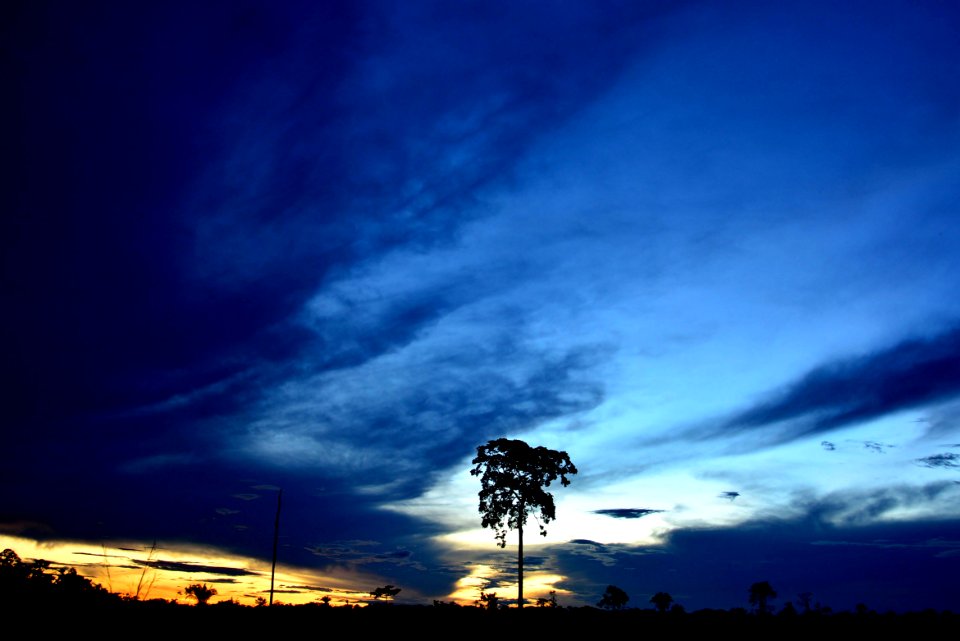 Assis Lima Entardecer Rio Branco AC