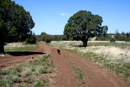 Down the Road