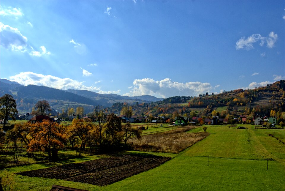 The sun colors foliage