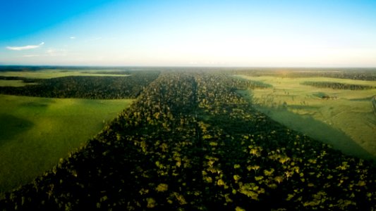 MARCIO FILHO PARQUE NACIONAL DO DESCOBRIMENTO PRADO BAHIA photo