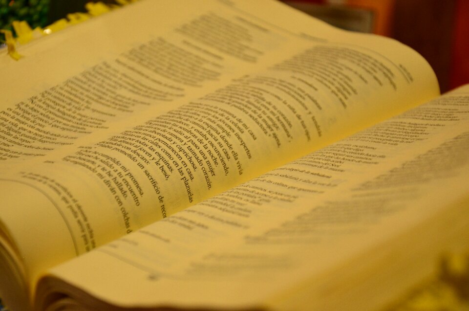 Book holy bible literature