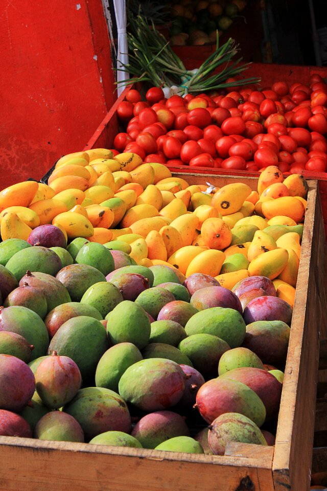 Yellow green fruit