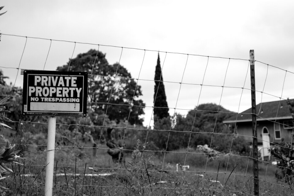 Property estate home
