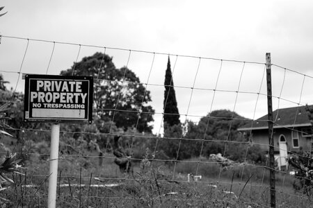Property estate home