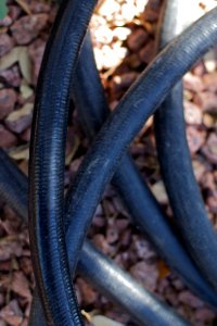Hose Makes a "K"