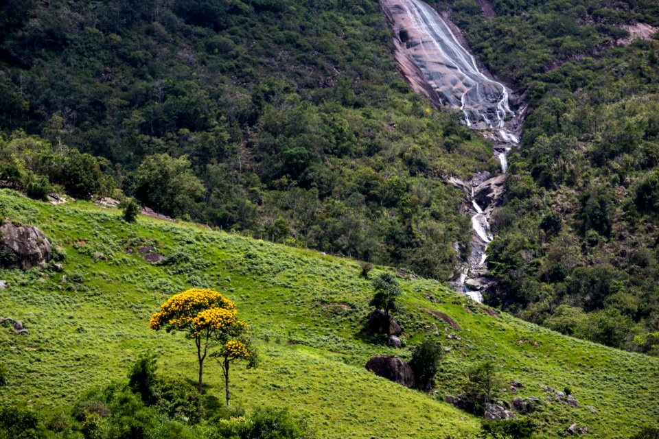 VitorJubini ParqueEstadualdoFornoGrande Castelo ES