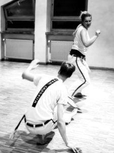 Ideal Capoeira Workshop 2019