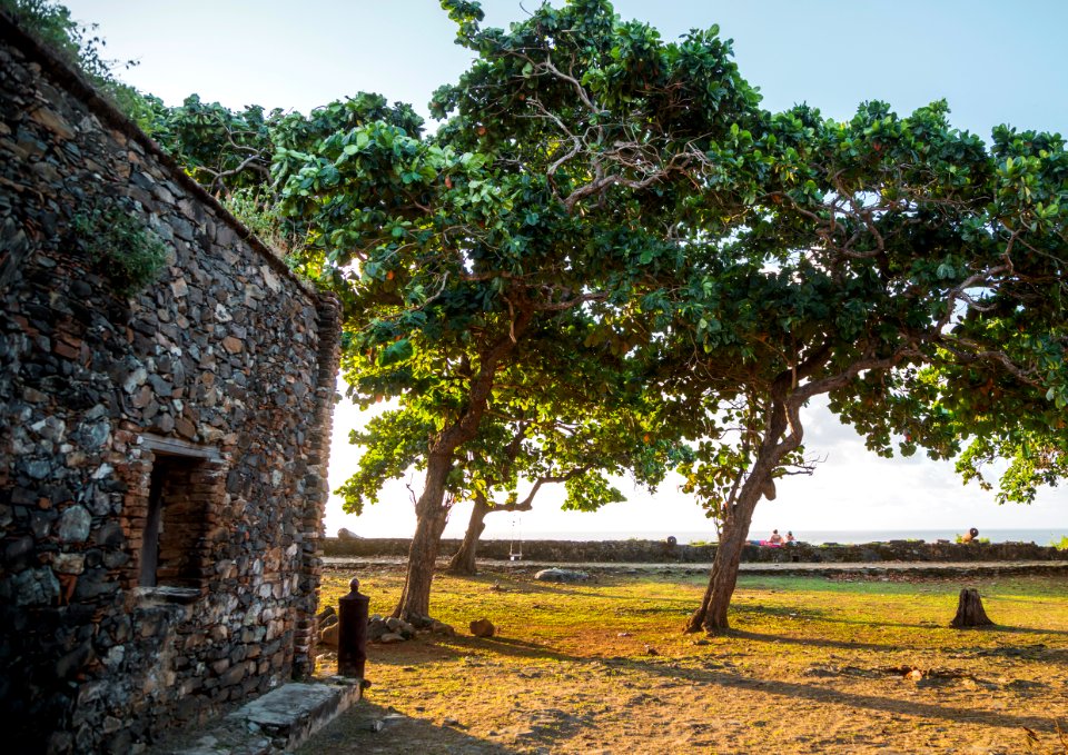BRUNO LIMA FORTE DOS REMEDIOS FERNANDO DE NORONHA PE