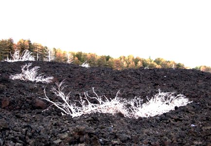 Etna-Volcano-Sicily-Italy - Creative Commons by gnuckx