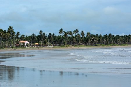 Marco Ankosqui Praia do Peba Piacabucu AL