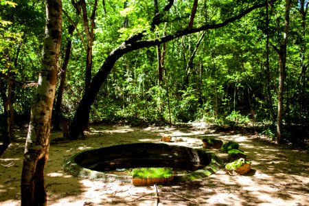 MauricioPokemon JardimBotanico Teresina PI