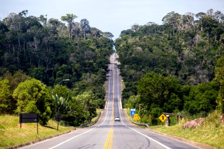 VitorJubini ReservaBiologica Linhares ES