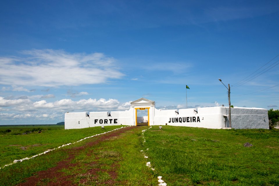 flavioandre Forte Junqueira Corumba MS