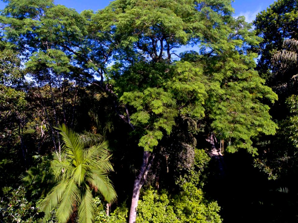 Renato Soares Parque Mun Leopoldo Moritz Brusque SC 2
