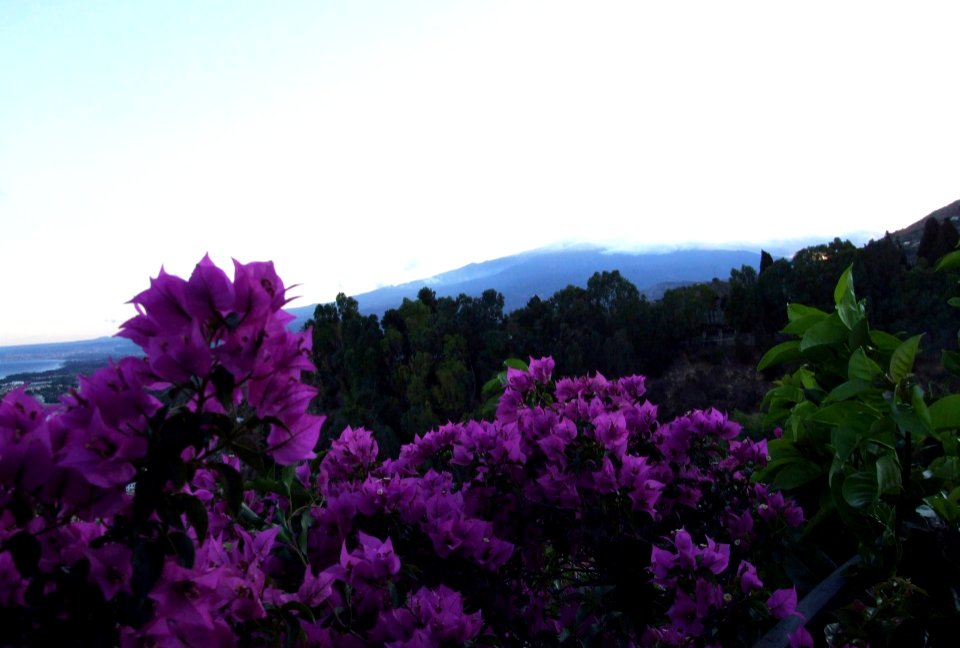 Hotel San Domenico-Taormina-Sicilia-Italy - Creative Commons by gnuckx