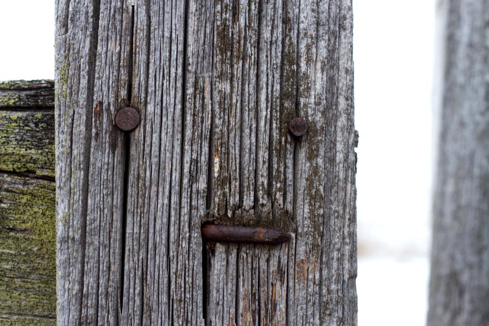 Nail Smiley