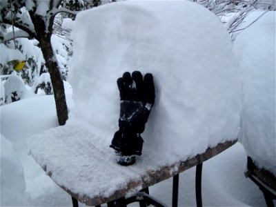That;s How Much Snow We Got