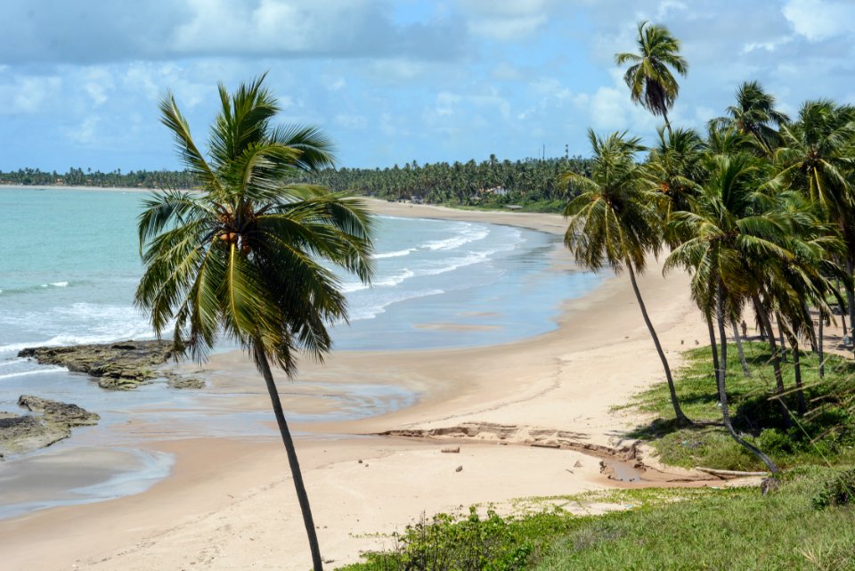 Marco Ankosqui Caminhos para Praia do Toque Sao Miguel Milagres-AL