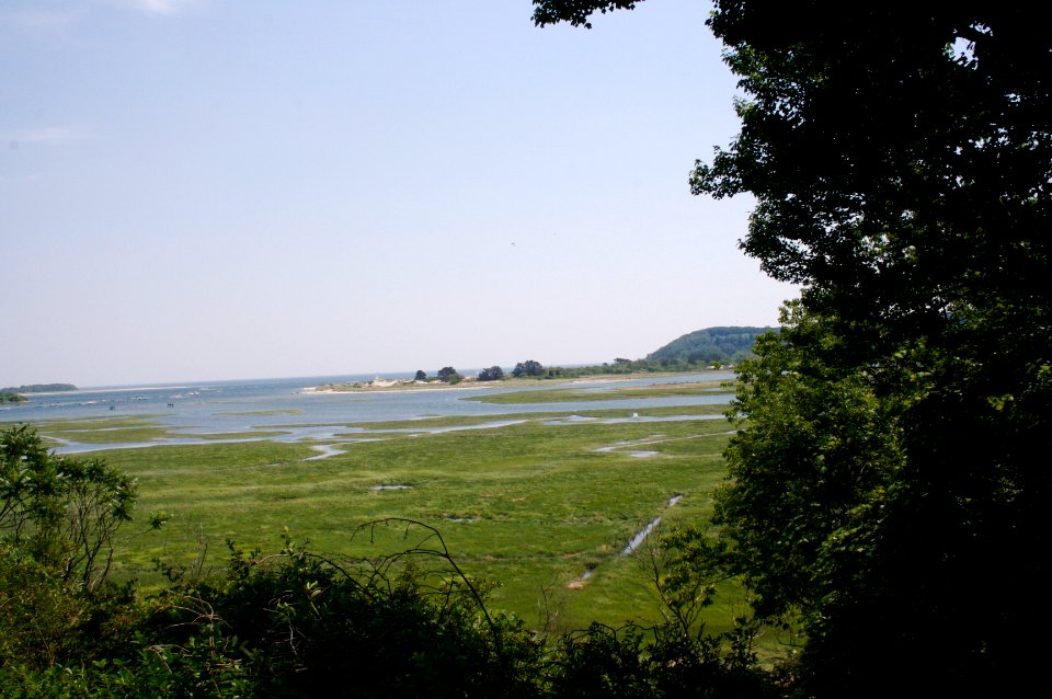 Kiely Cottage Porch View