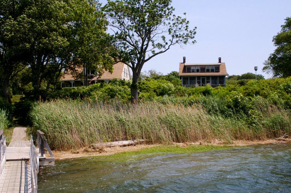 Tredwells Island Warf High Tide