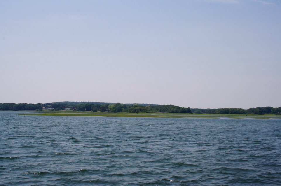 Tredwells Island Warf High Tide