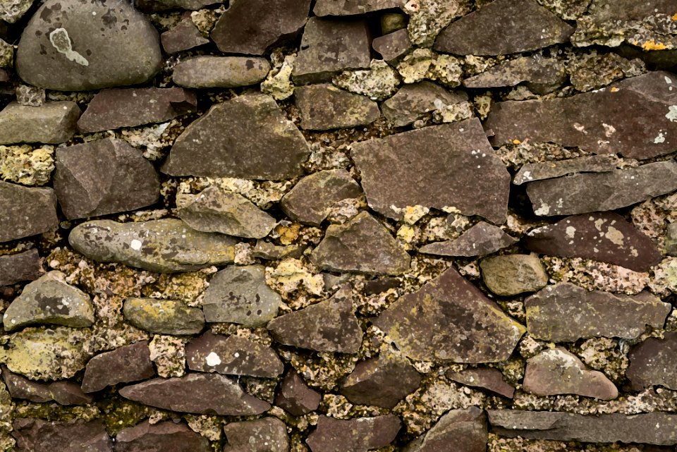 wall
