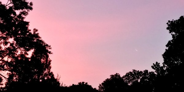 pink sunset photo