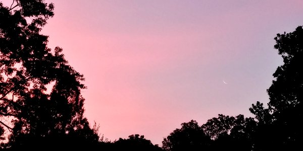 pink sunset