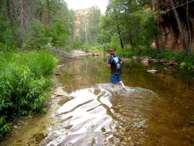 Wading the Creek
