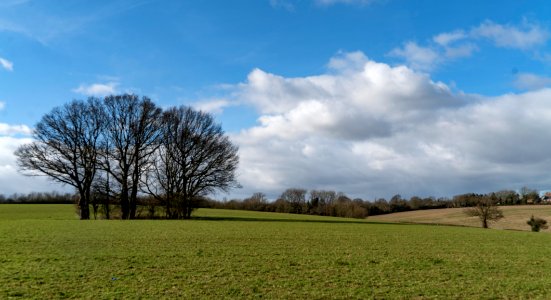 Hertfordshire Countyside