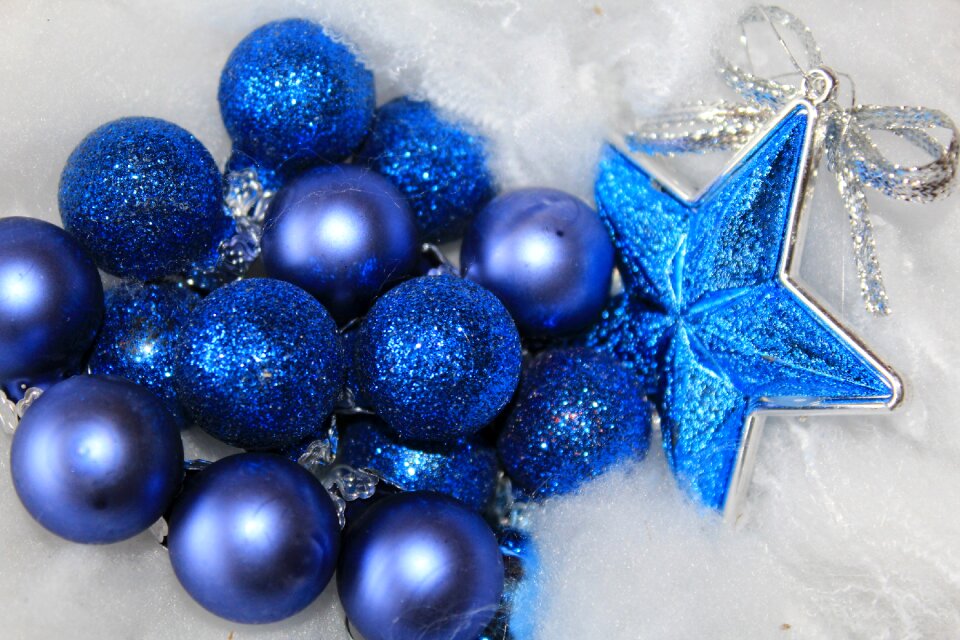 Jewellery poinsettia christmas time