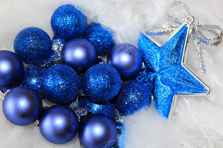 Jewellery poinsettia christmas time