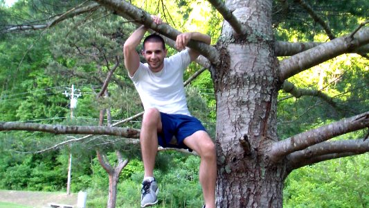 Tree Climb photo