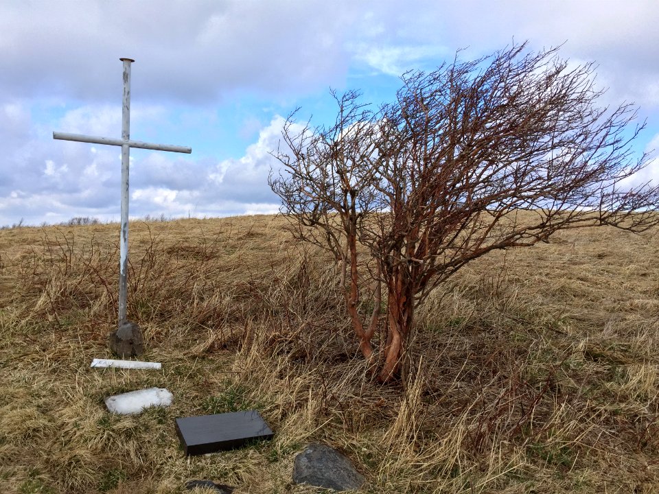 Andy Sherman Grave