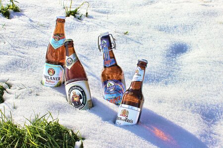 Beer bottle snow photo