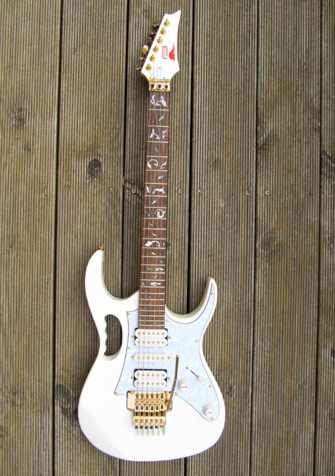 Electric guitar guitar player entertainment