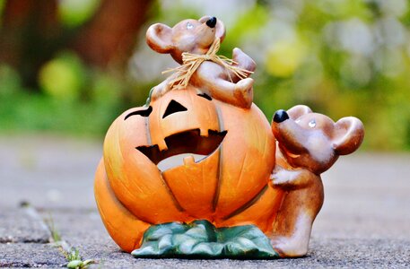 Funny cute sweet