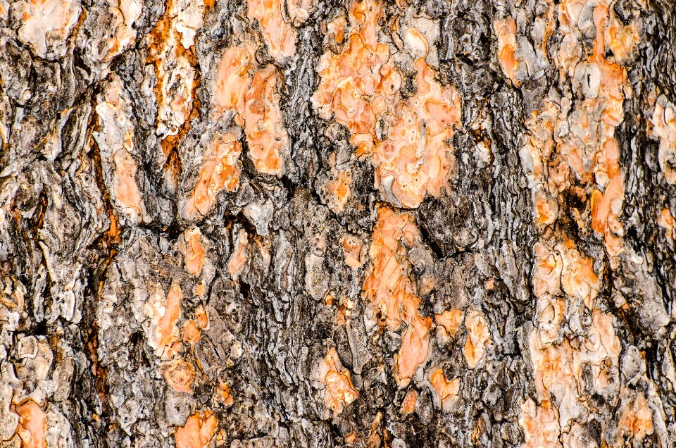 Texture background flake