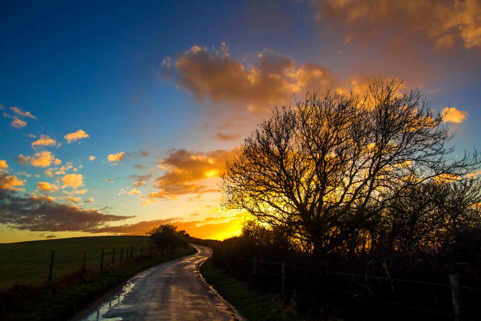 Nature silhouetts way