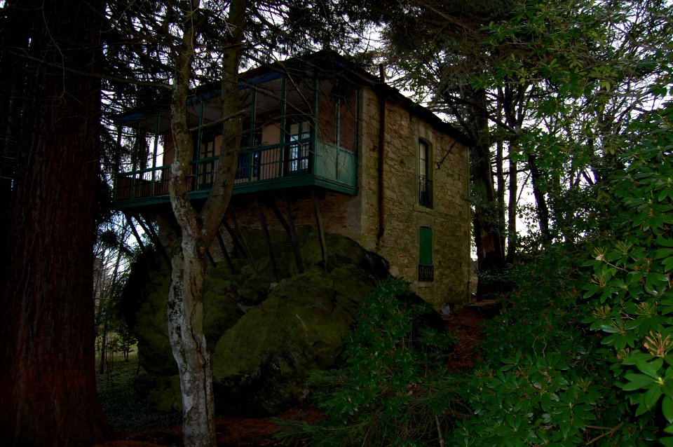 El bosque del Fenal.