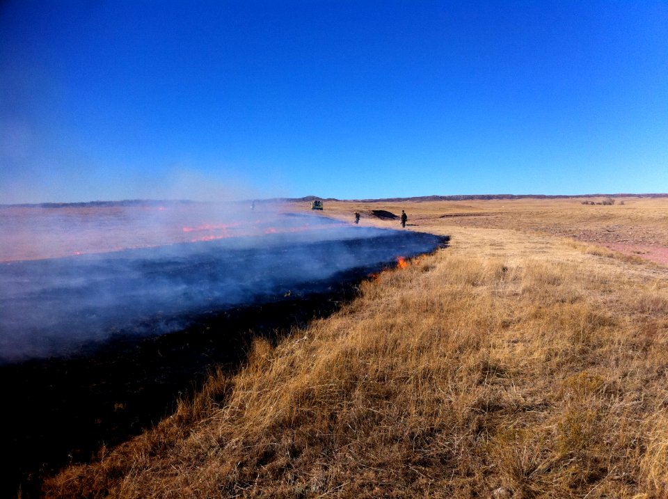 Colorado Shortgrass Prairie Prescribed Fire