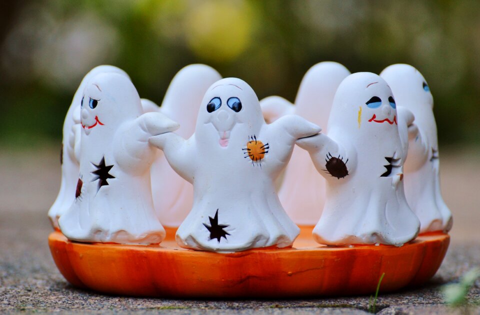 Group cute foraging haunting