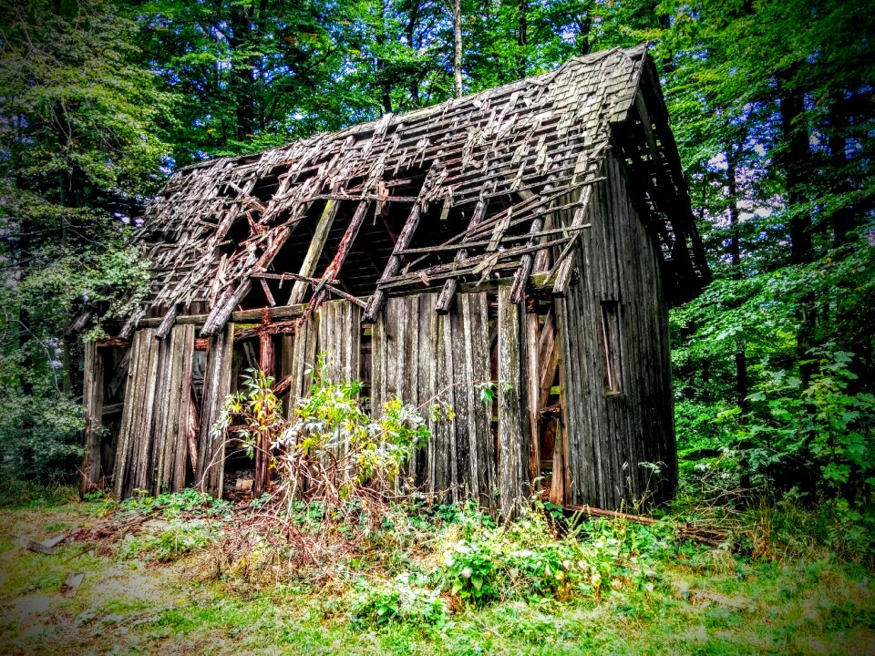Wood log cabin forest lodge