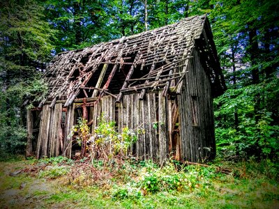 Wood log cabin forest lodge photo