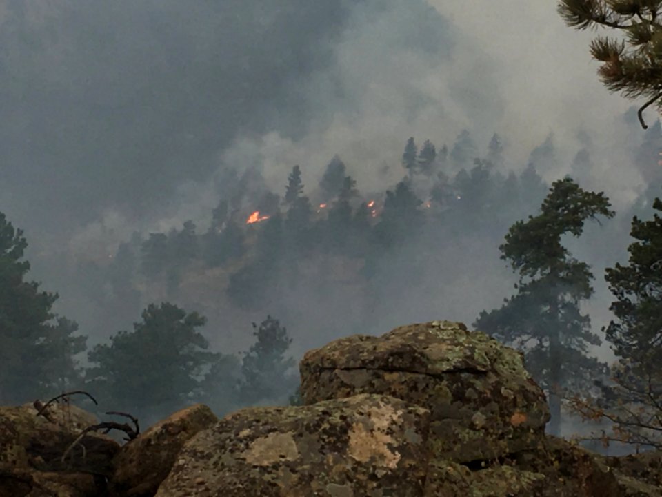 Prescribed Fire in Ponderosa Pine, Red Feather Lakes, CO