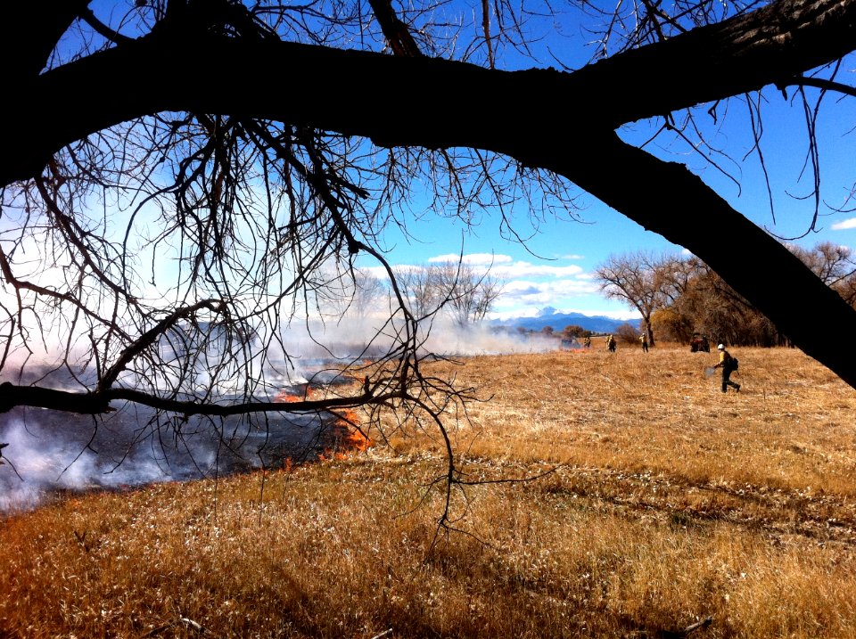 Colorado Grassland Prescribed Fire